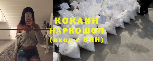 прущие крисы Кулебаки