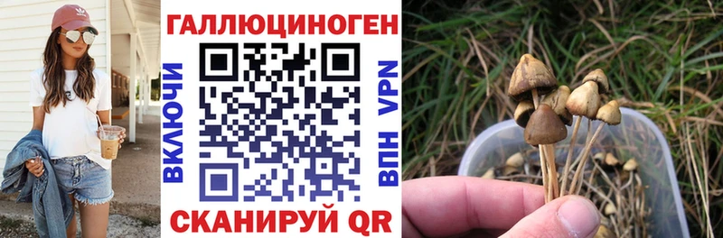 Галлюциногенные грибы мухоморы  Купить закладки  Арсеньев 
